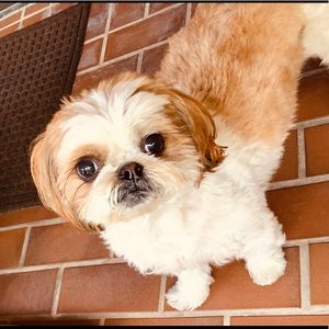 Meet your Posher, Patricia